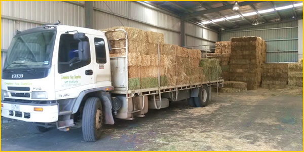 loading hay varieties