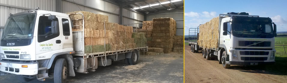 Hay Suppliers