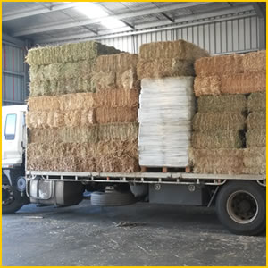 loading hay varieties